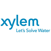 xylem